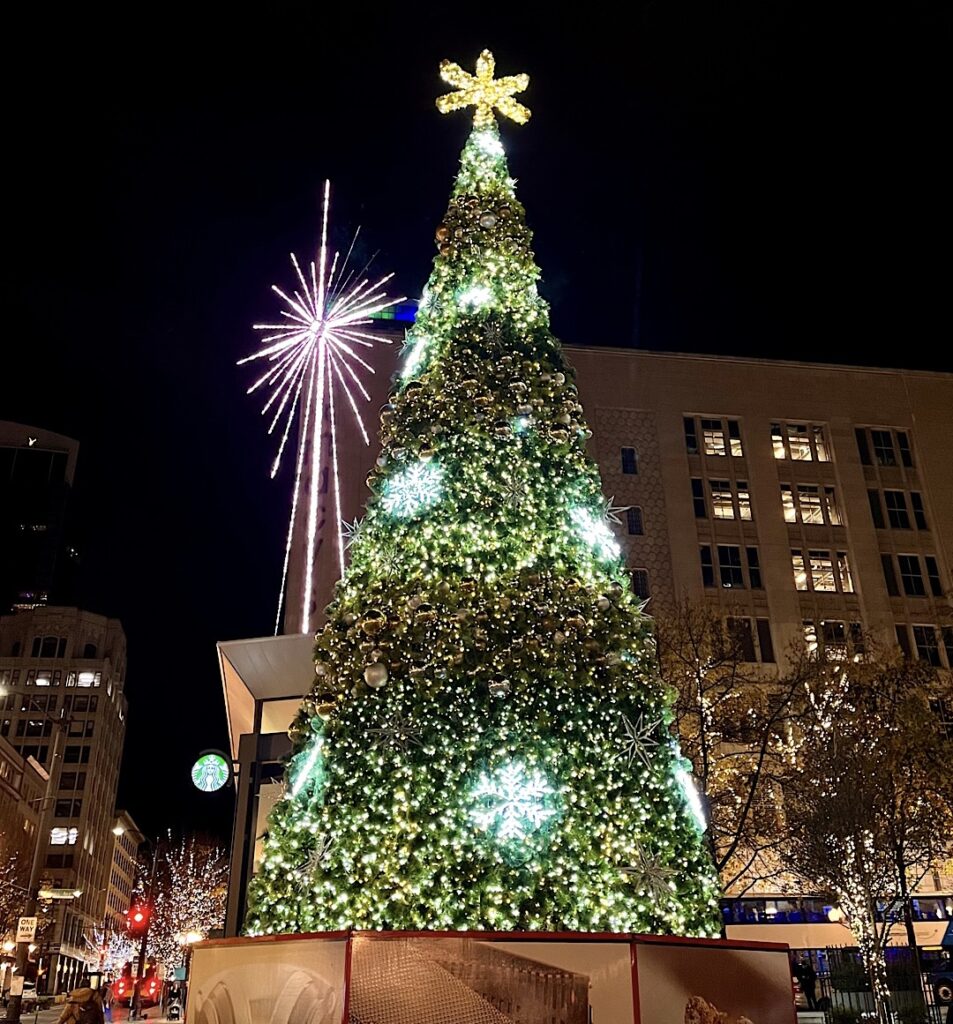 シアトルの クリスマスツリー の写真。アメリカ本場の大きな クリスマスツリー