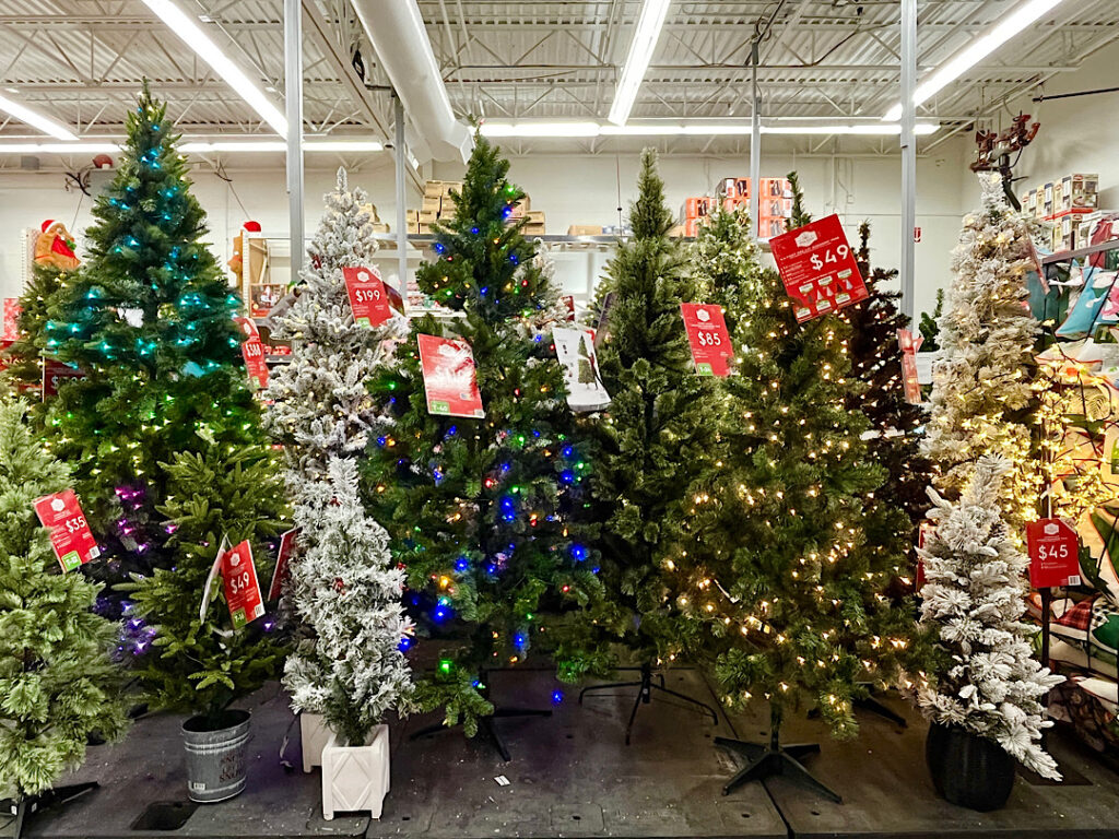 クリスマスツリー アメリカの売り場の写真　人気の高さは２m