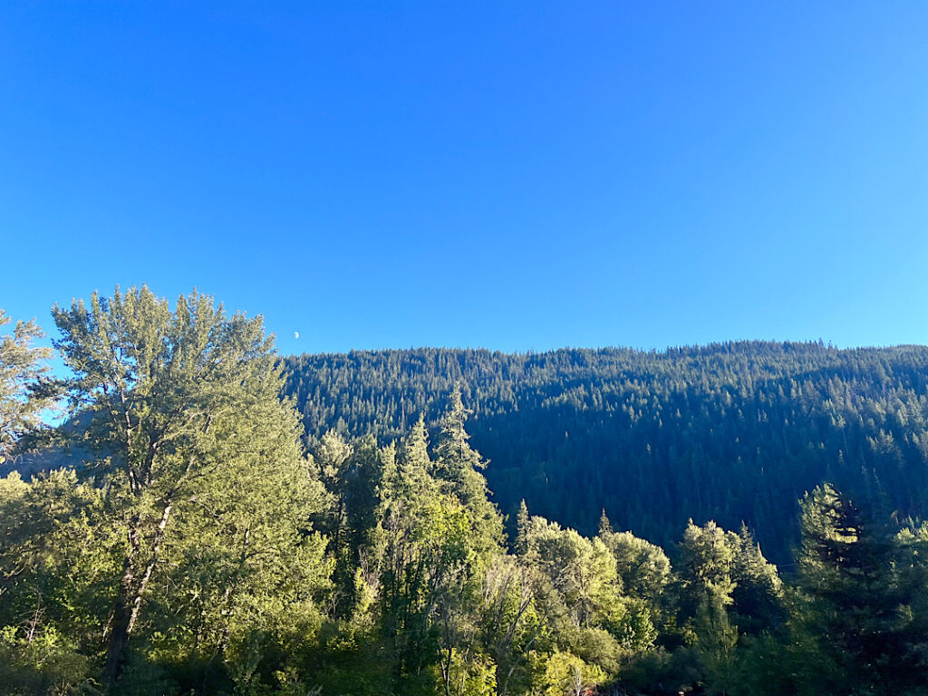 ワシントン州 観光地　旅行におすすめ、Leavenworthまでの道のり。パインツリーの景色。